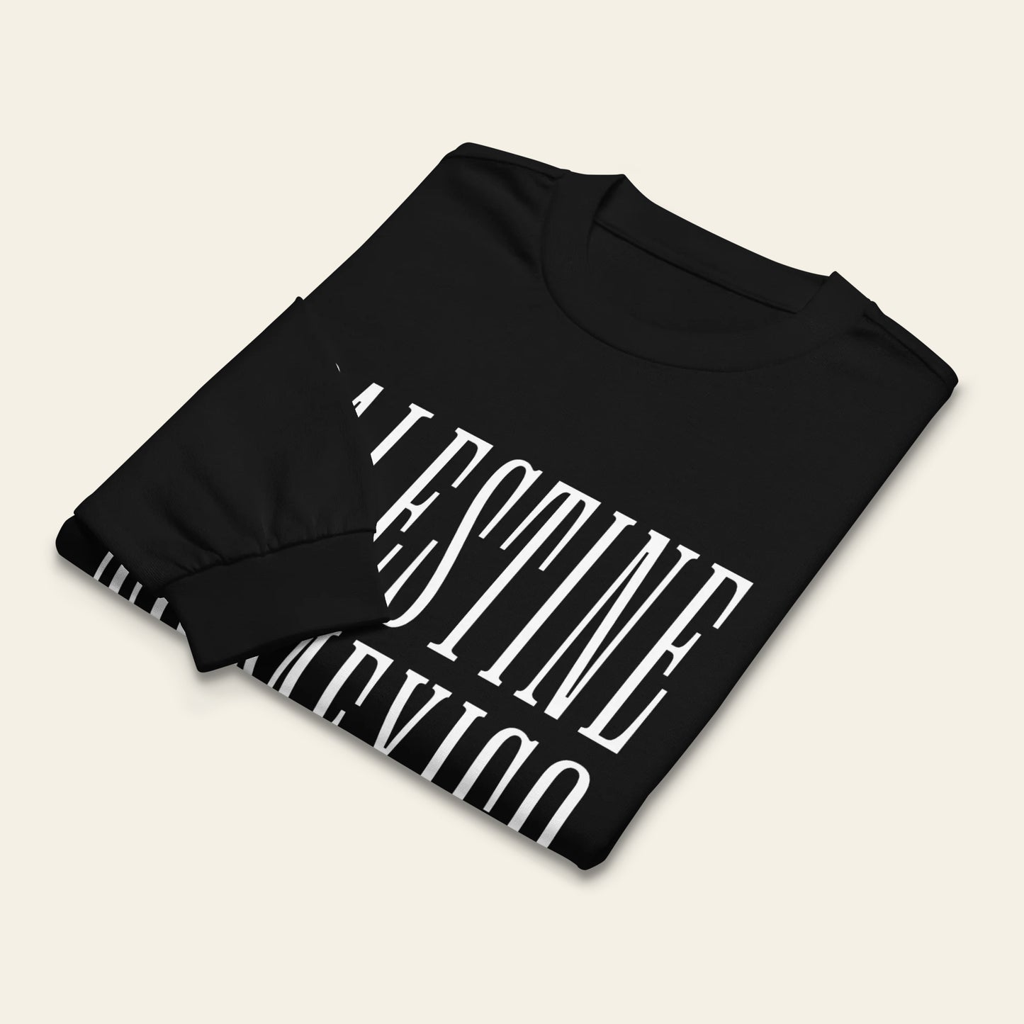 Palestine to Mexico heavyweight long sleeve shirt