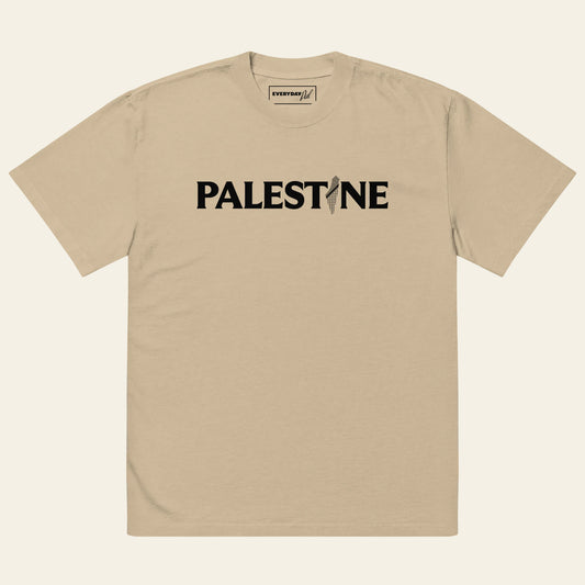 Palestine Oversized faded t-shirt